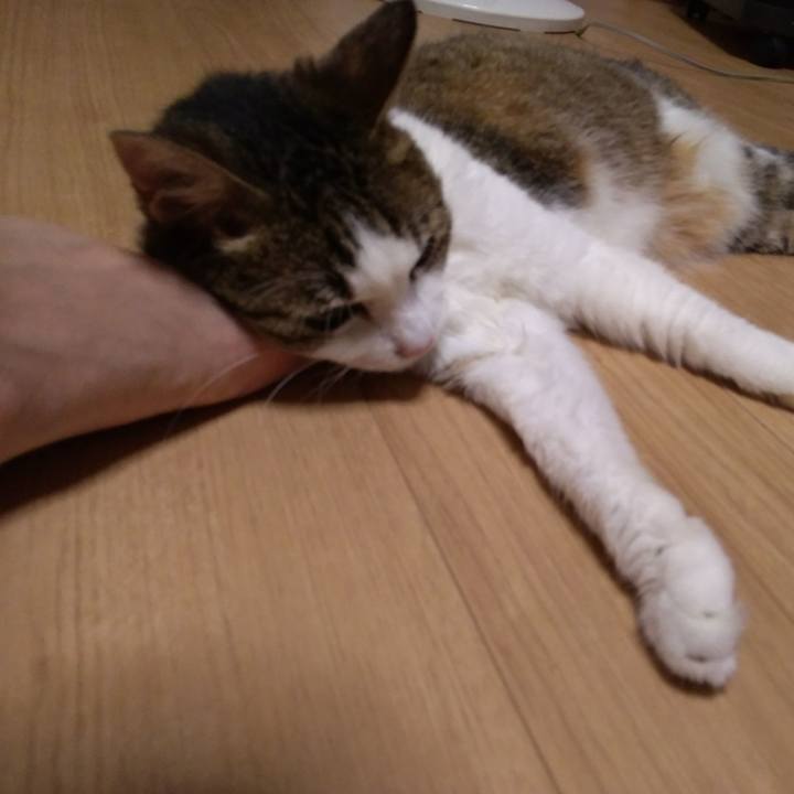 3f99be00 74cc 41e2 862b 769f54795662 1531306934957