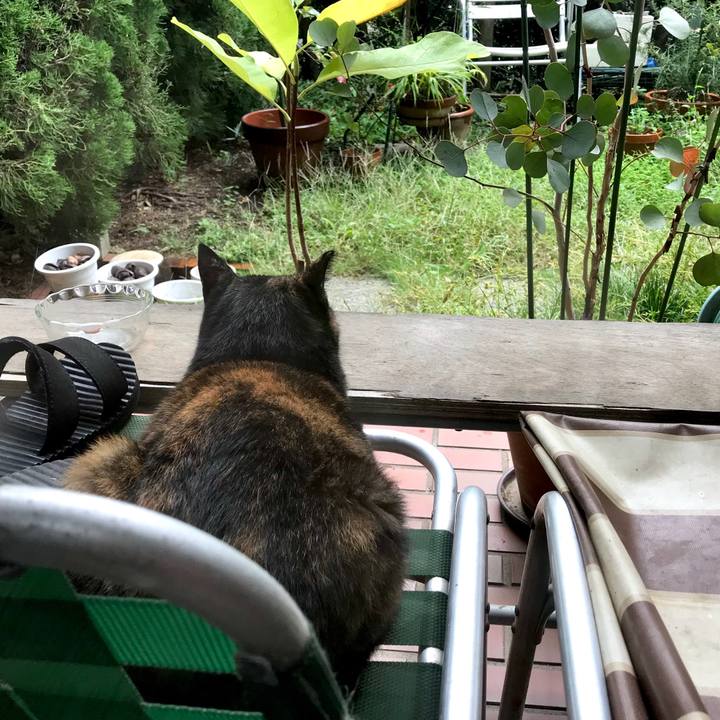 3f99c05a 3d4a 4c53 9a32 32f68dcb19e3 1539229831401