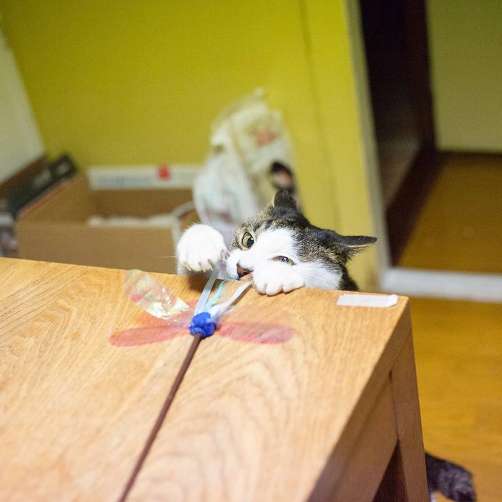 3f99ed20 bff7 4f10 90f9 d29125e288b8 1580744092333