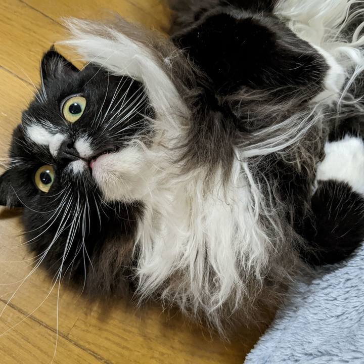 3f99f332 e072 4319 bafe 212bf39edad7 1667135649713