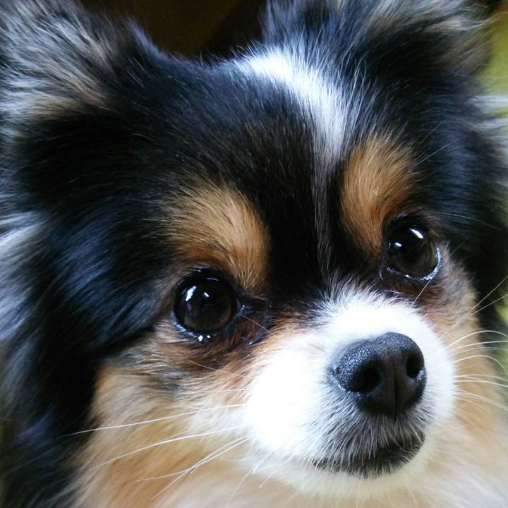 3f9a1e72 50b5 440c abff 8b2eaf1947da 1517012020918