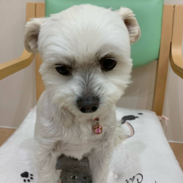 3f9ab708 efff 4652 9037 3dca11c72c35 1618484934593