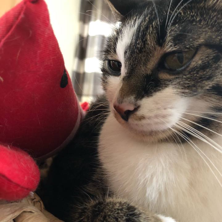 3f9ad2a5 0b70 43bf 9685 a1548d09bb9e 1530930500084