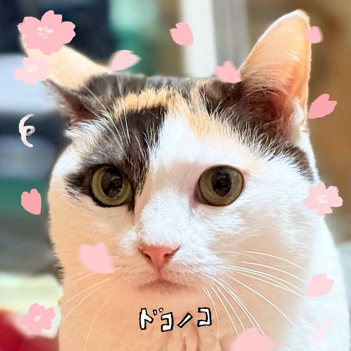 3f9b1b61 8ec4 4668 9e92 1c5cf38b8dfe 1744422275349