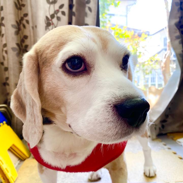 3f9b206d 288e 4471 9ce7 01cf62b735c0 1581911650455