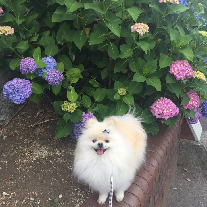 3f9b4aa9 c8f1 4aa2 862a 9c95eccc92e6 1559364774767