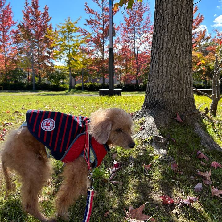 3f9b4d49 a98b 4bdc 81df 0ec9c9717731 1698289855968