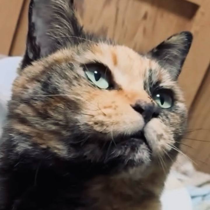 3f9b56c9 cabc 4719 a96e 1dd210a67f4e 1765138874534