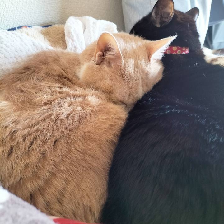 3f9b60d5 d11b 4456 97b1 46f054efde76 1672719833561