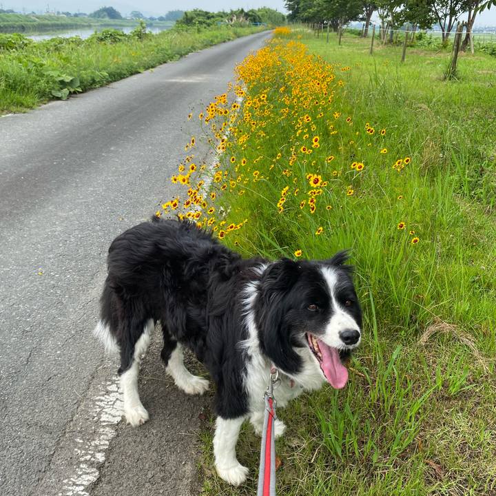 3f9b8fe7 4494 44f6 89f2 c184472d5db1 1687656812085