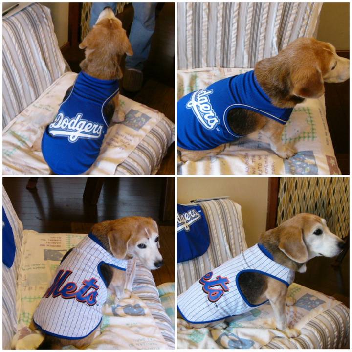 3f9b94c3 1e47 474f 845e c09ea686b1ef 1653526124154