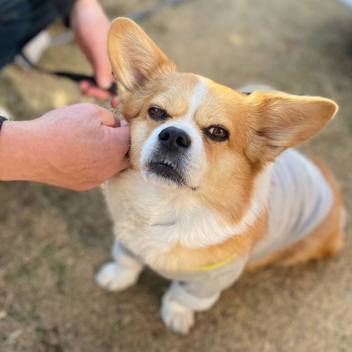 3f9bcf39 4e6d 4ff7 b551 d0add918ec4f 1737692987296