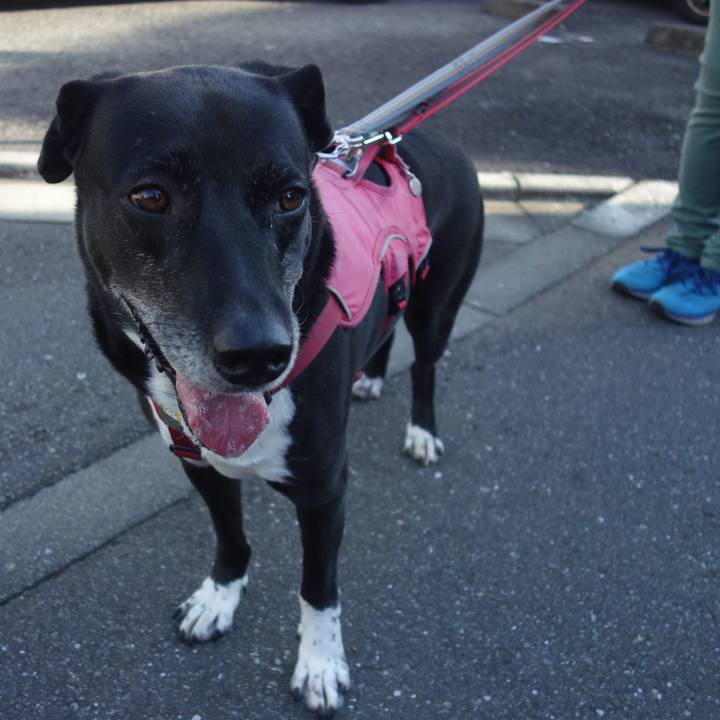 3f9bf542 ce59 4b9e bb28 80fce7e19d5f 1697675342190