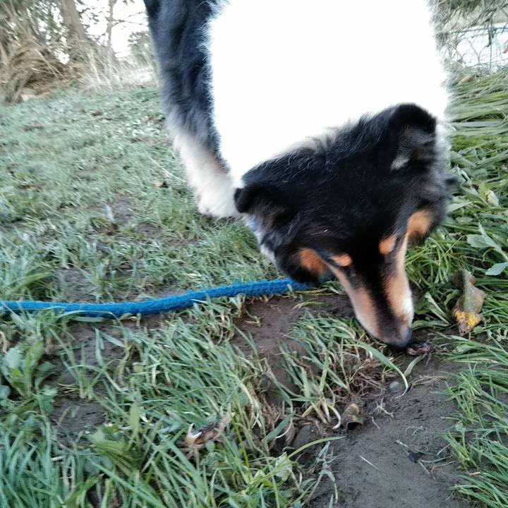 3f9c0c0d df5a 4558 b373 db4fa79c67cb 1508762971353