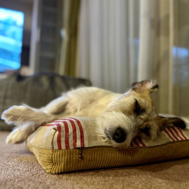 3f9c22cd 67a4 43c1 b6ab e6a29c9fb015 1692707146785