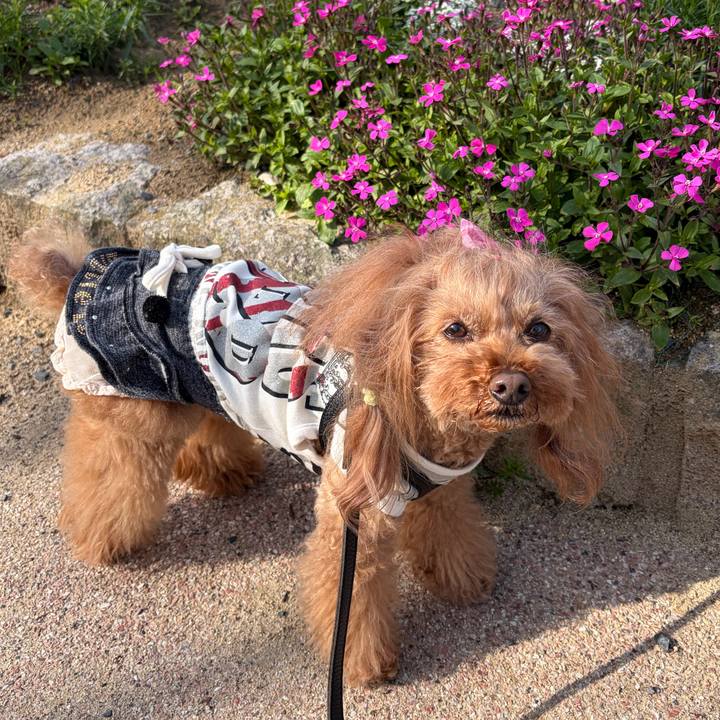 3f9c6b0e 32ed 4b34 816c 533fdefb1f1d 1773024049021