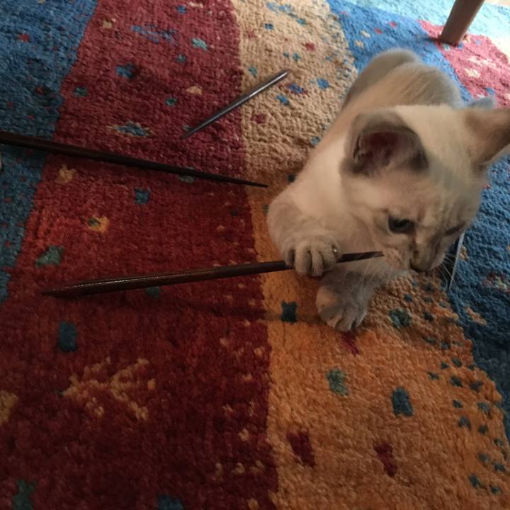 3f9cd528 9f18 4d0c 9c50 91b5f9a4f1c4 1534240713849