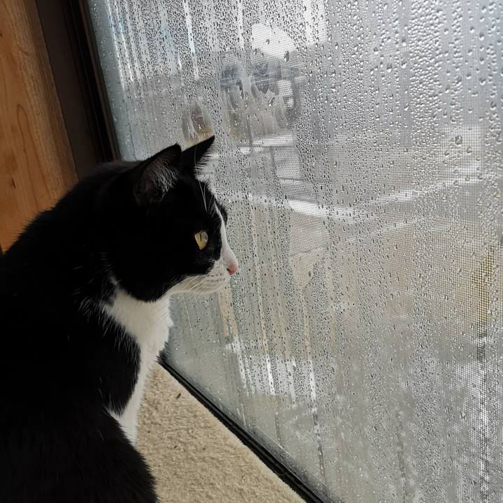 3f9cd997 028e 438c b1b3 030343e01797 1674792662382