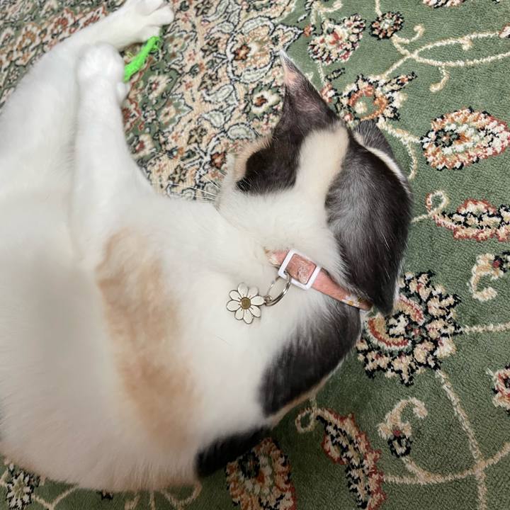 3f9cf895 d2a3 4cb4 97a9 42c5414b50eb 1683330163702