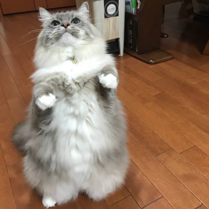 3f9d2549 63be 4cd2 b6f6 8f3fd4274726 1515807825652