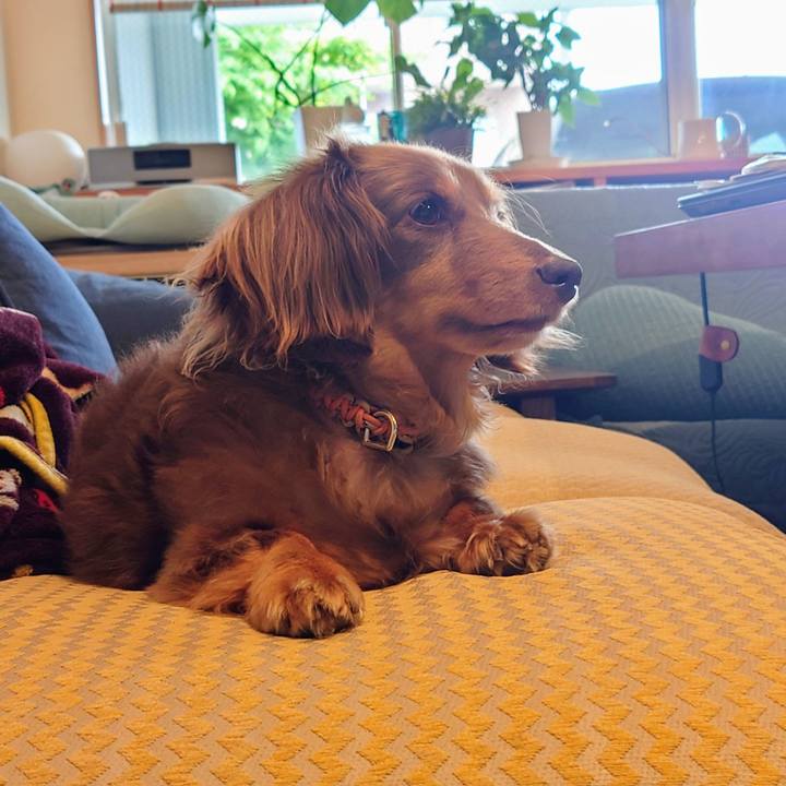 3f9d39eb 8f3e 4475 8910 ba9233eff812 1716713707761