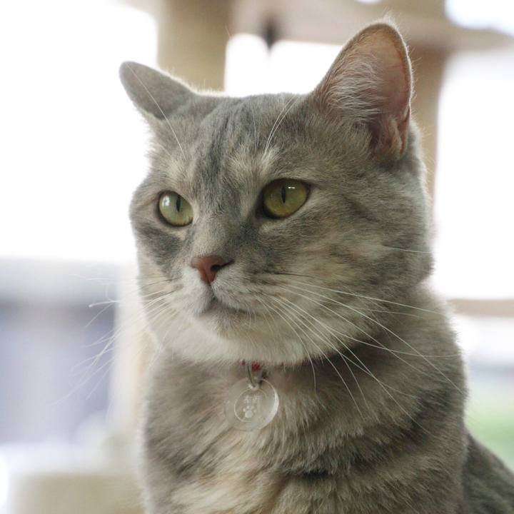 3f9d5503 806c 41ad 8b2a 3bae81d21f22 1531463370601