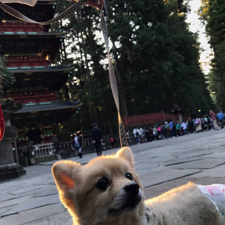 3f9d6b5b c2af 44a6 8220 1cba17f77549 1573643196907