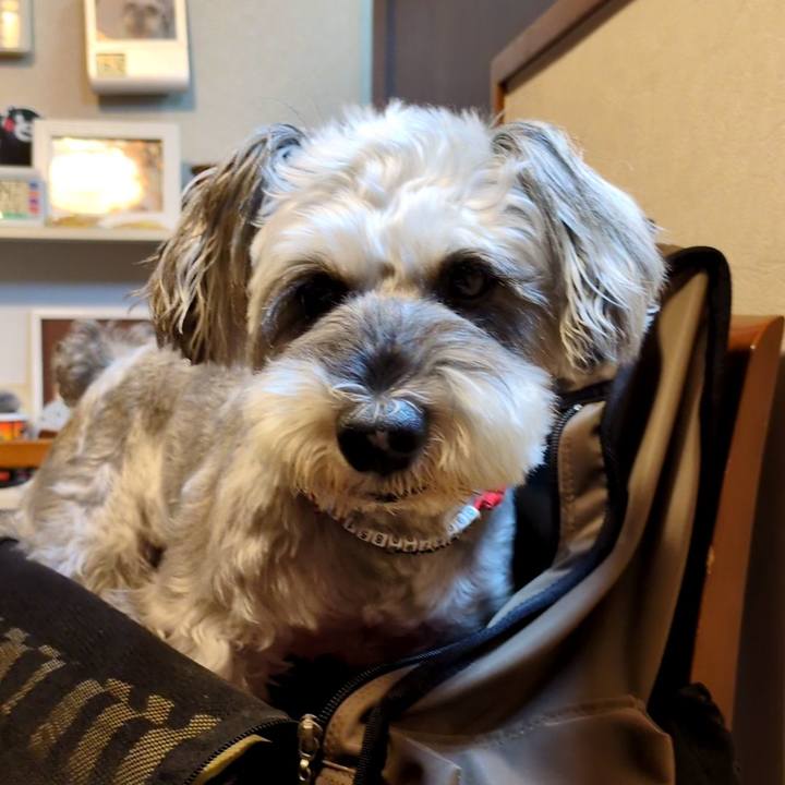 3f9d7c48 cf77 42c1 a31d 1901cd5bf5cf 1760878569841