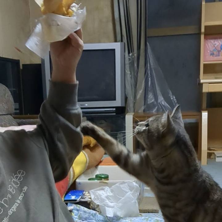 3f9e20cd 7b47 4136 adac 56cda5a4b56f 1709386080252