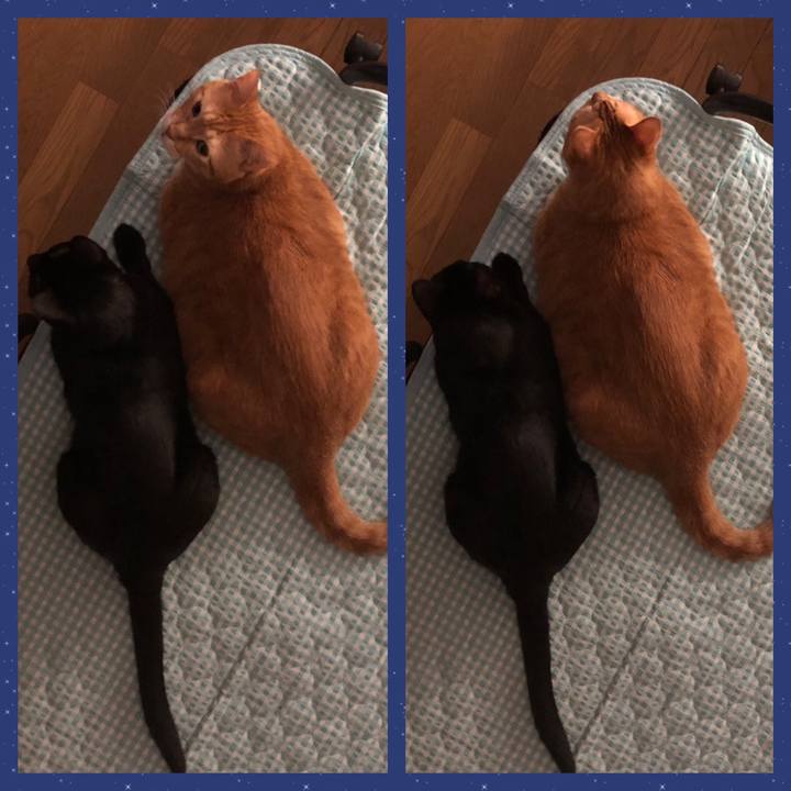 3f9e24af 158e 44cd bd38 e4ca1a179be8 1660246149937