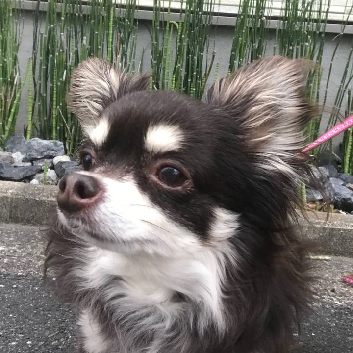 3f9e4c47 8116 46db a573 155ad99db0c2 1587534027161