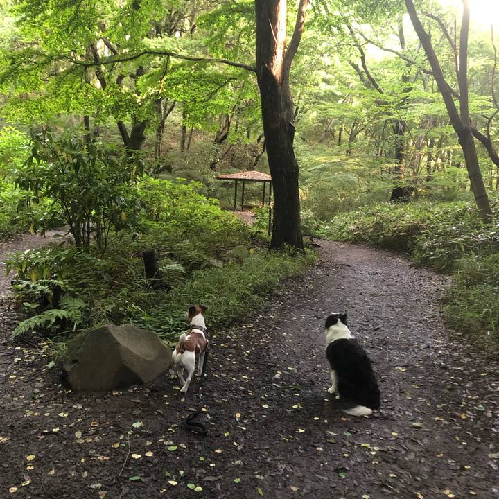 3f9e5608 27ae 4871 bb29 457eafacddda 1653797799504