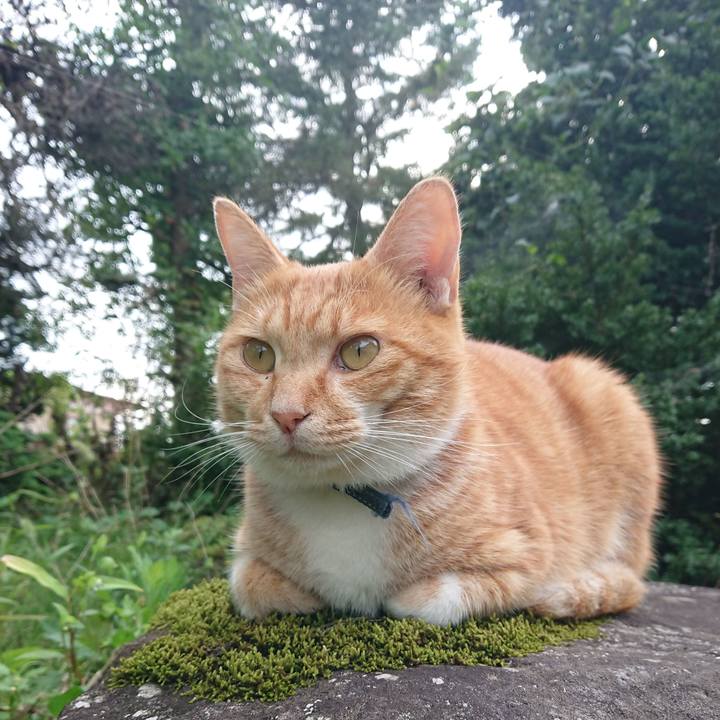 3f9e8f3f a2d3 4000 af9c 7fe2002d8cc6 1600587178176