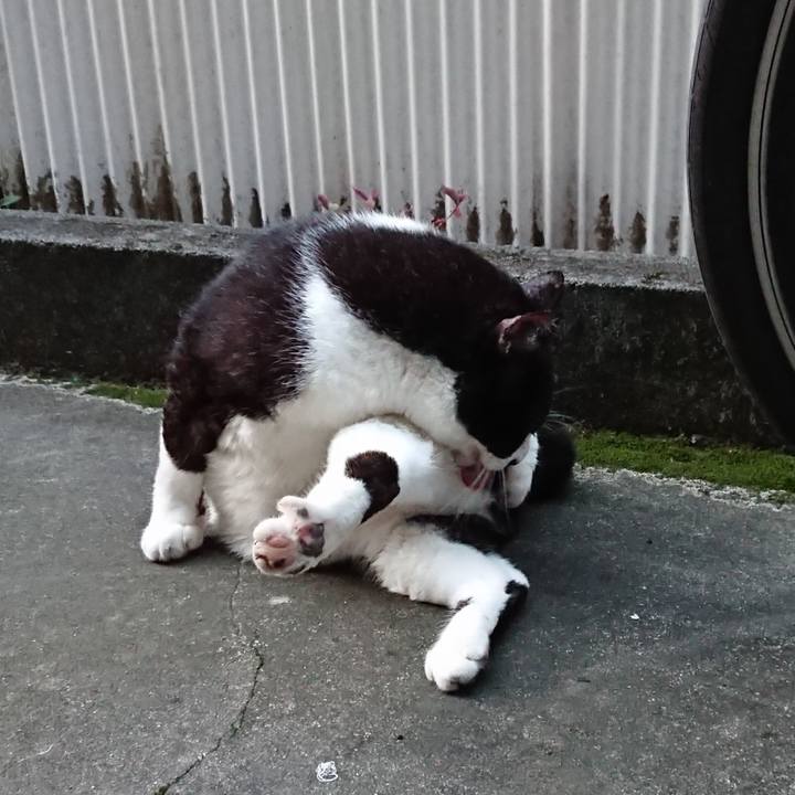 3f9ebbef 0c32 48df a789 a58bc3544eb9 1630055592622