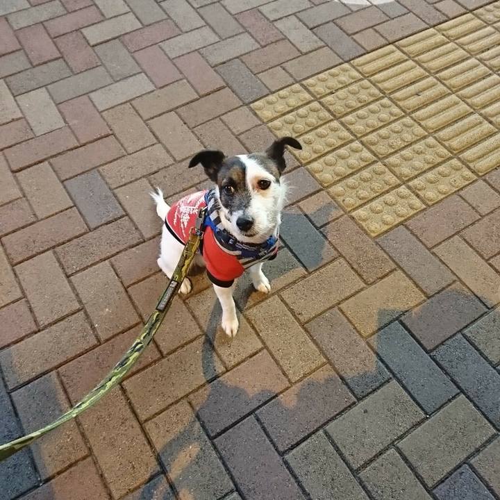 3f9ed9d4 182f 4075 a783 a3e25f6ff4f8 1522063248092