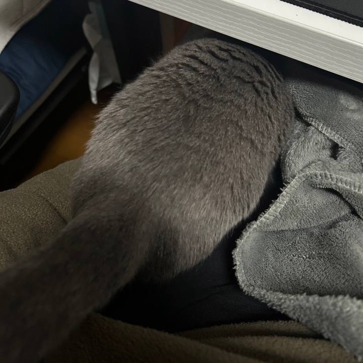 3f9ef214 393b 4e2b a465 f0bc5748c2d2 1701668701442