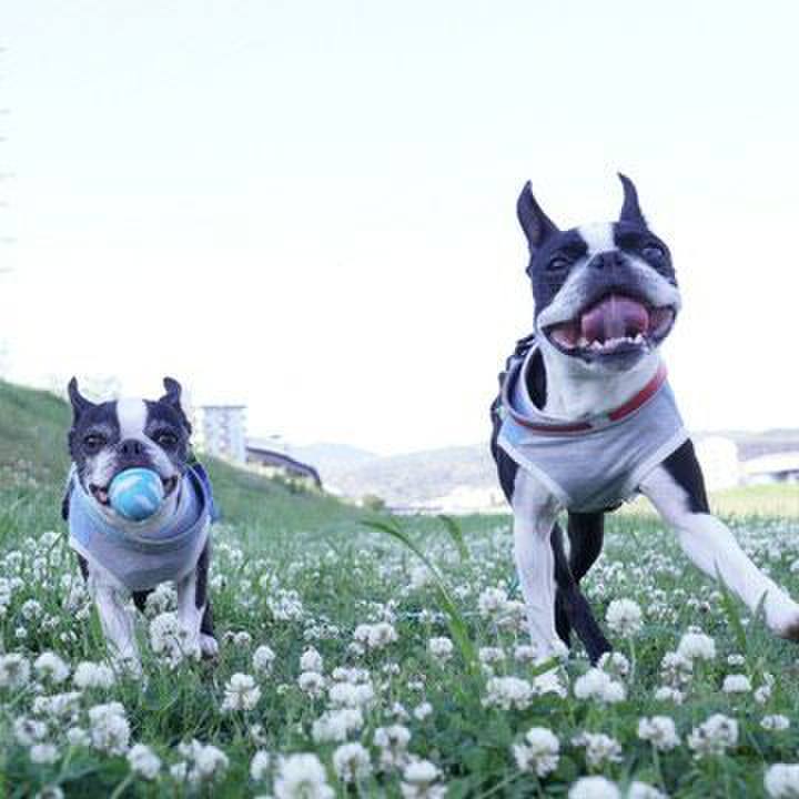 3f9ef219 90e1 4f9a afb7 01b2fda9eccf 1556967048324