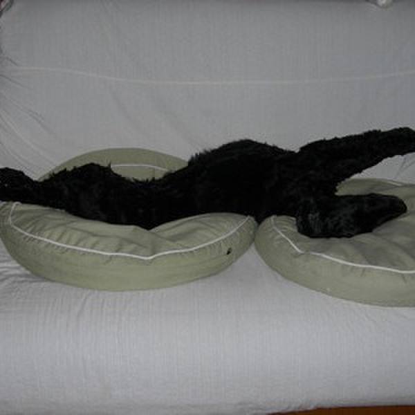 3f9ef3c3 d5cd 44d3 9661 58ed14439f97 1511526263016