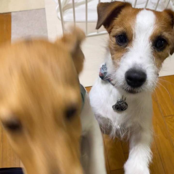 3f9ef629 c4c8 4beb 892a 67b28efde6bb 1752756787820