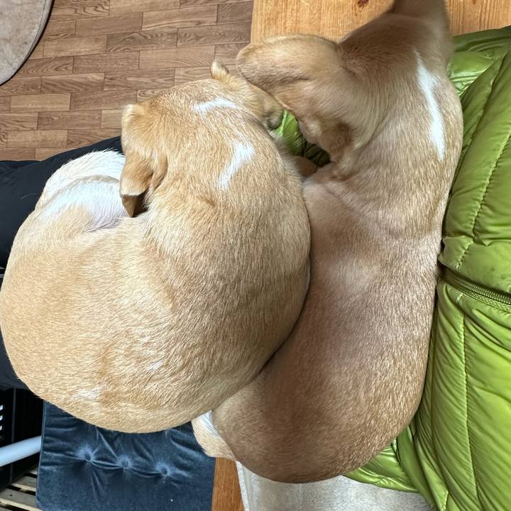 3f9efa85 576f 4b9f 96a6 e44c9b2d868c 1676606342750