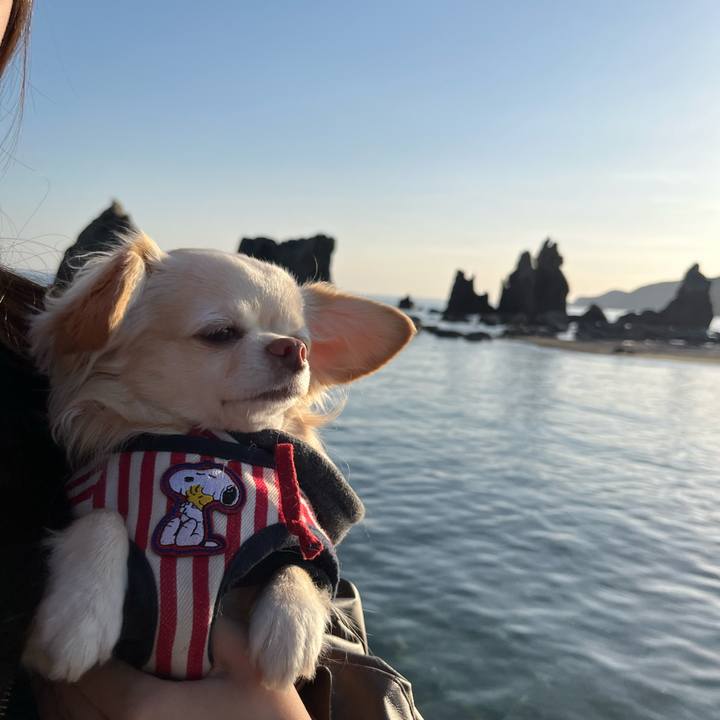 3f9f1f17 de0d 4440 b2c8 37d5ac0e97ff 1735866431648