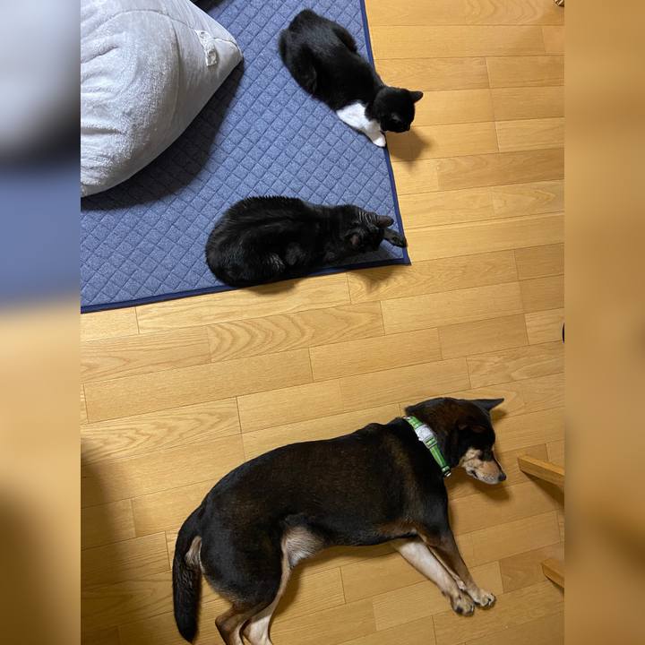 3f9f253f dcdd 443a 8770 b35672adffa5 1628522241667