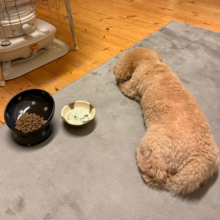 3f9f26ba c924 49d4 8c0a 8091ae192b36 1767781467444