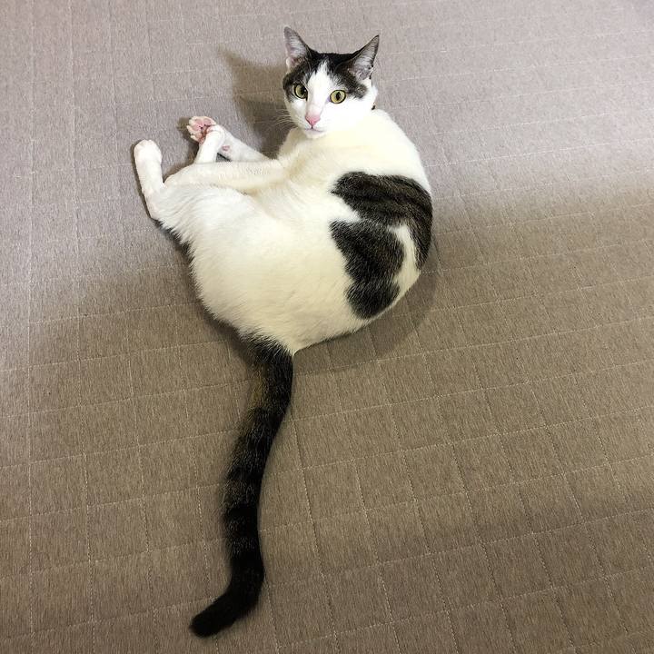 3f9f35eb 30d4 4544 921a a5120b9a7180 1644496128231