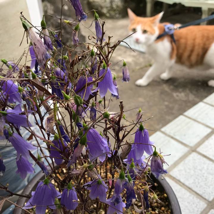 3f9f7d84 79c0 4d1c 8285 06d23701d1cc 1510639372320