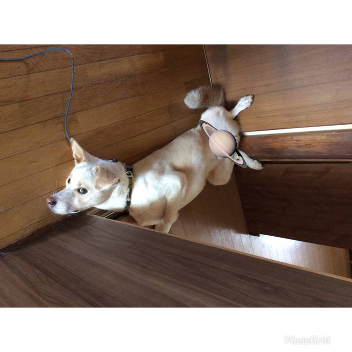 3f9f8f9d 9116 4703 a821 ae65a7cdec53 1524657391757