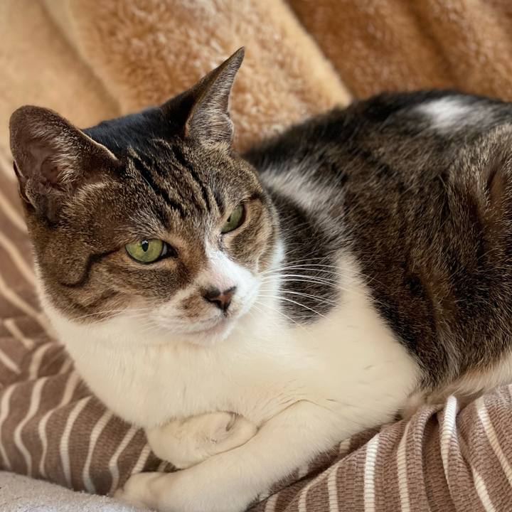 3f9f8fa7 4403 4048 b001 dcc747f94b20 1646187863649