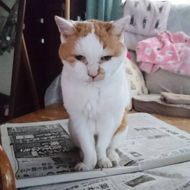 3f9f9127 fc6c 4817 9891 7f625dd0bc26 1687956618218