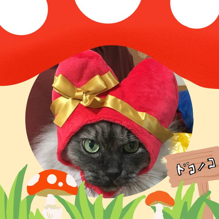 3f9fafc0 fde5 4946 9cc6 624f2a532c59 1729906988744