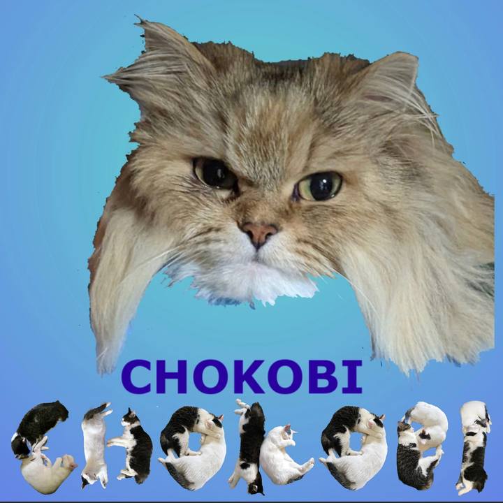 3f9fe0c2 4b11 4f38 bf60 1d8ee11a53d9 1669089607993